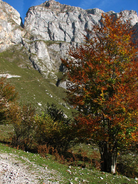 fuente-de-canal-de-la-cela-padiorna-colladina-de-las-nieves-vega-de